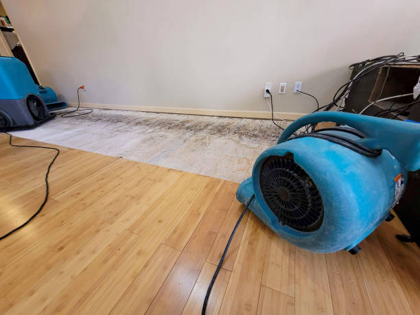 Professional Emergency Water Damage technician working in Piketon, OH